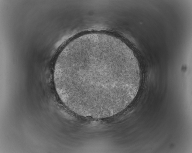 X0000111151160200907211156
