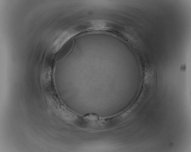 X0000111151161200907211156
