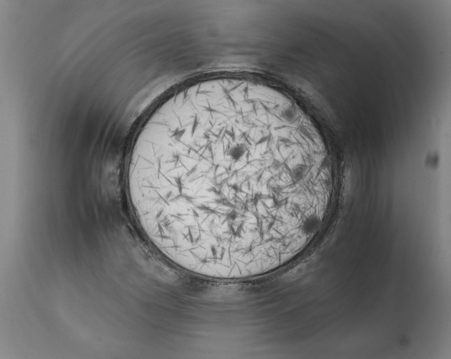 X0000111151162200907211156