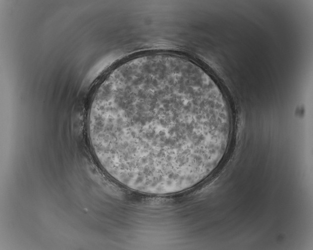 X0000111151163200907211156