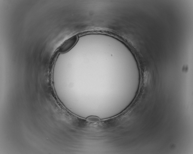 X0000111151165200907211156