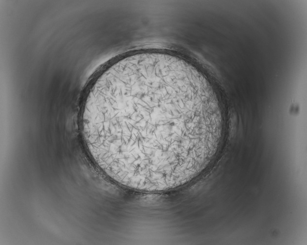 X0000111151166200907211156
