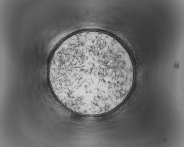 X0000111151167200907211156