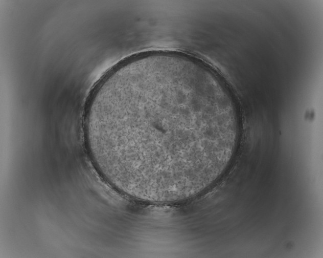 X0000111151168200907211156