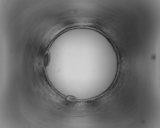 X0000111151169200907211156