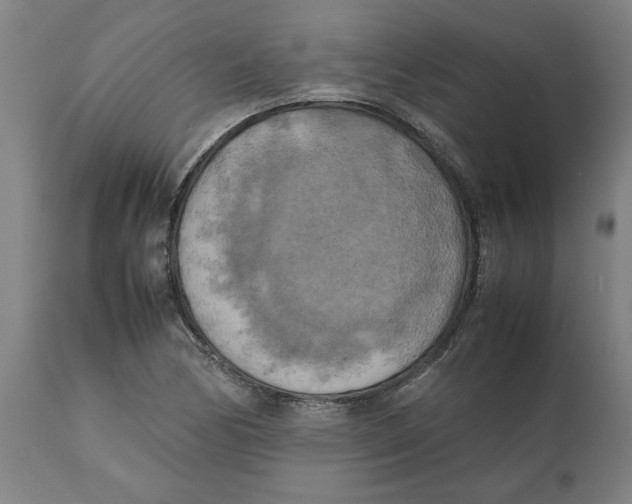 X0000111151170200907211156