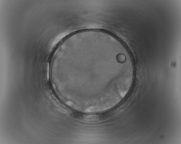 X0000111151171200907211156