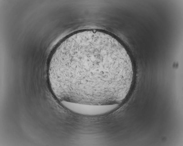 X0000111151173200907211156