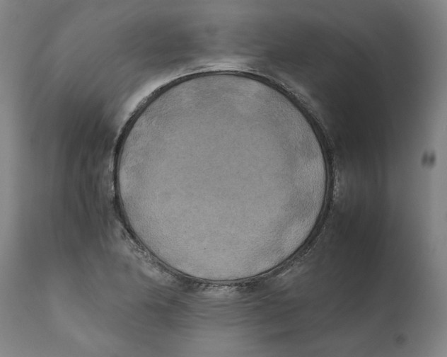 X0000111151174200907211156
