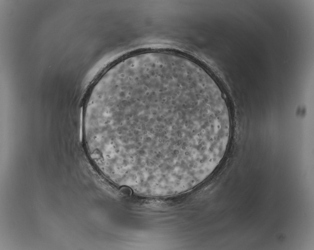 X0000111151175200907211156