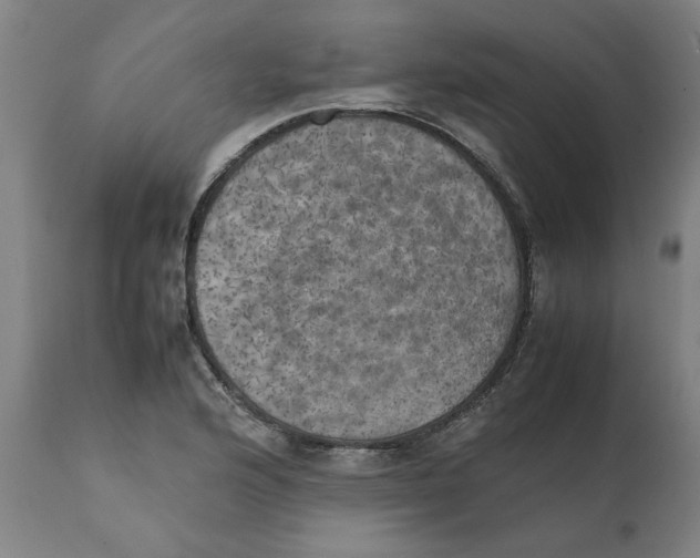 X0000111151176200907211156