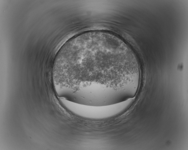 X0000111151177200907211156