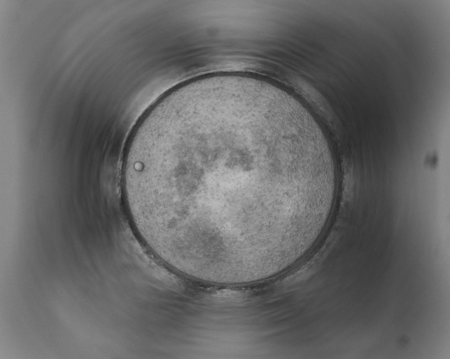 X0000111151178200907211156