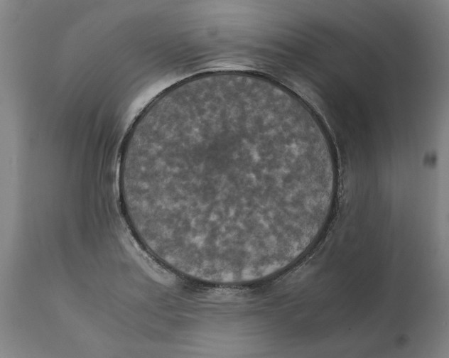 X0000111151179200907211156