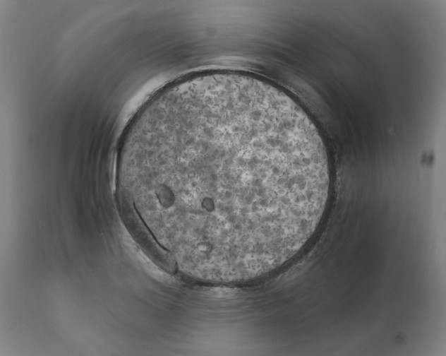 X0000111151180200907211156