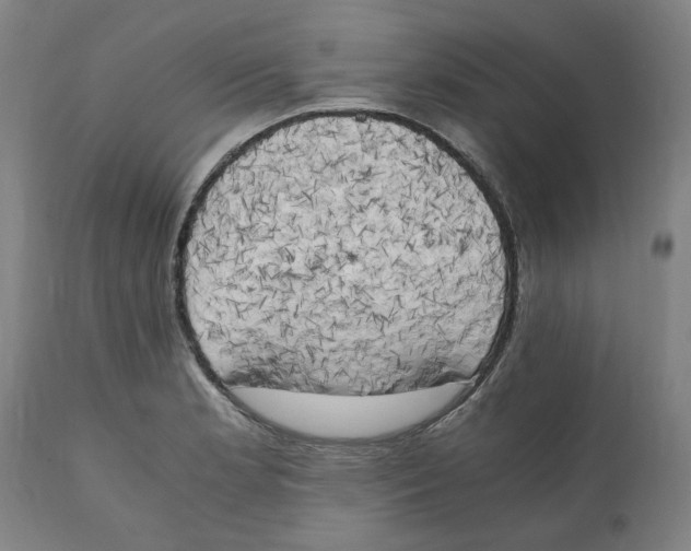 X0000111151181200907211156