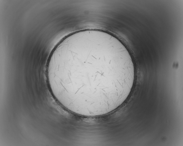 X0000111151182200907211156