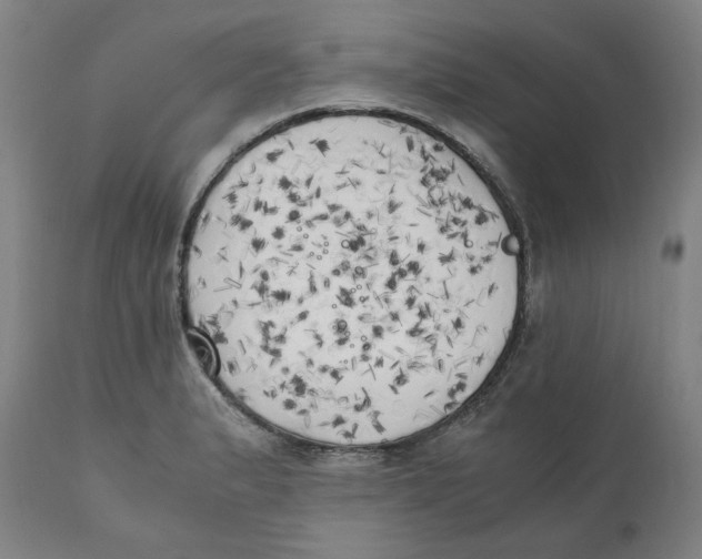 X0000111151183200907211156