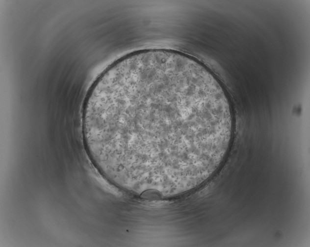X0000111151184200907211156