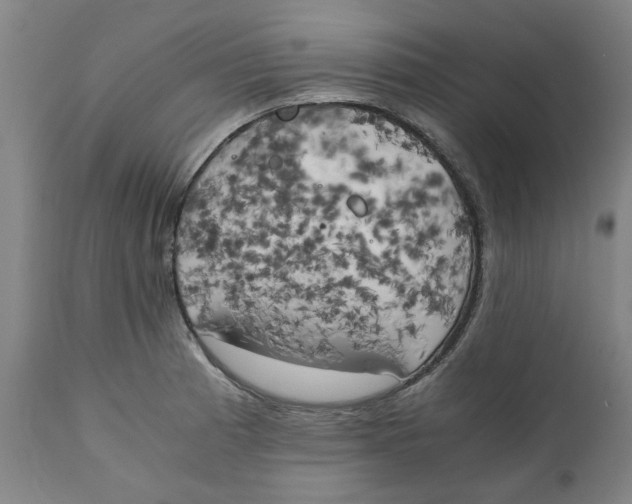 X0000111151185200907211156