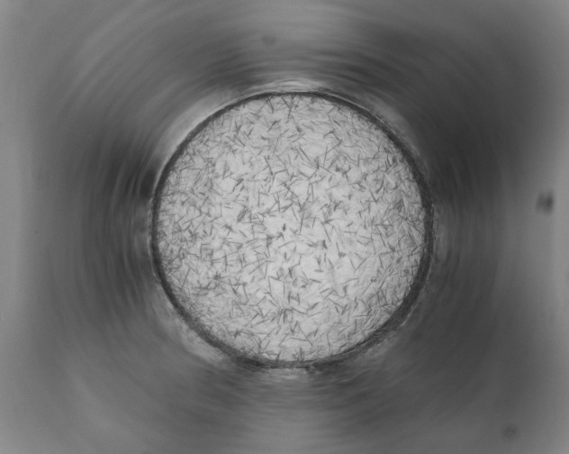 X0000111151186200907211156