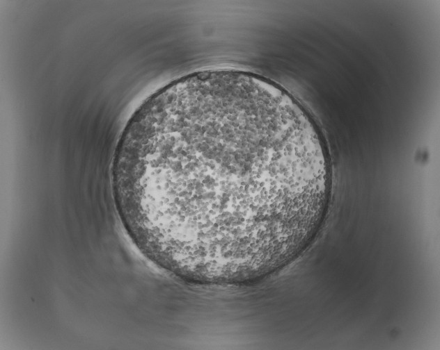 X0000111151189200907211156