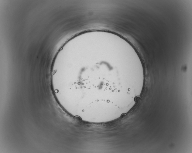 X0000111151191200907211156