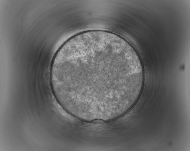 X0000111151192200907211156