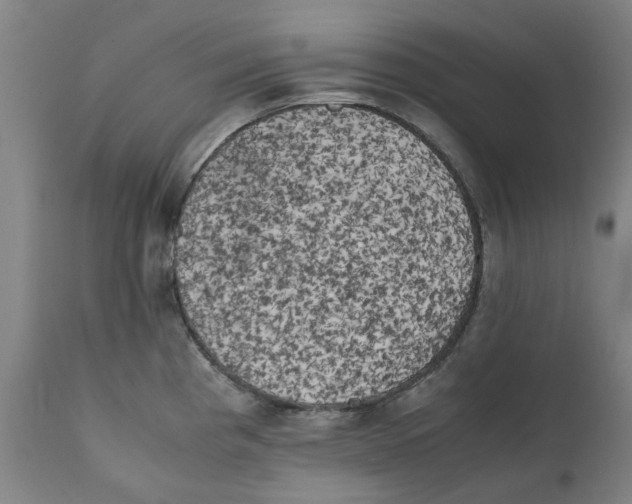 X0000111151193200907211156