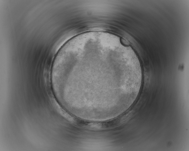X0000111151194200907211156