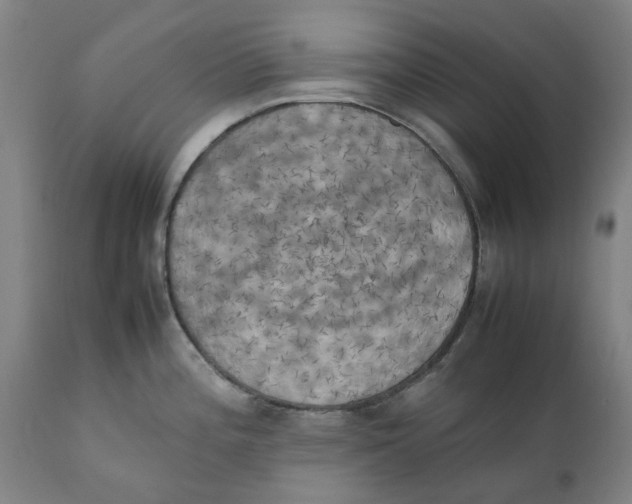 X0000111151196200907211155