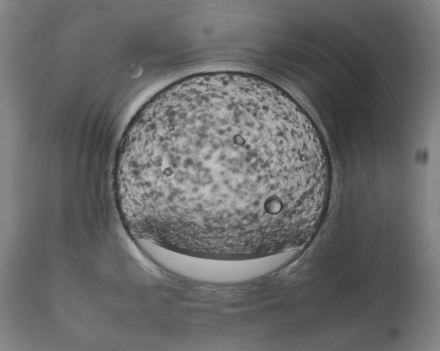 X0000111151197200907211155