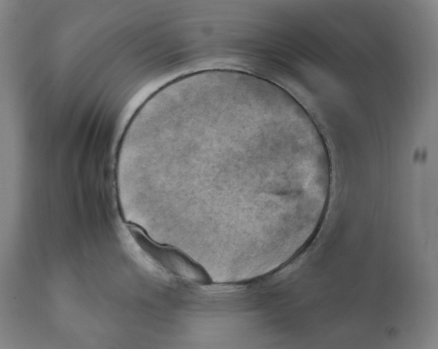 X0000111151200200907211155