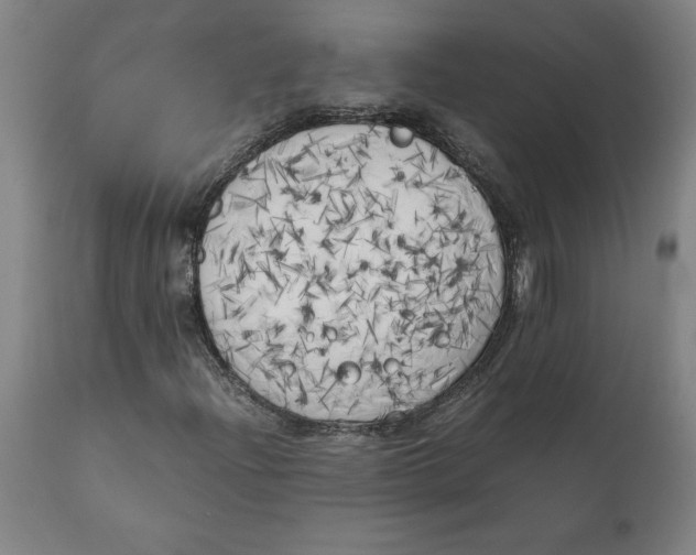 X0000111151204200907211155