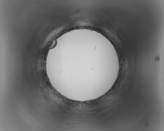 X0000111151207200907211155