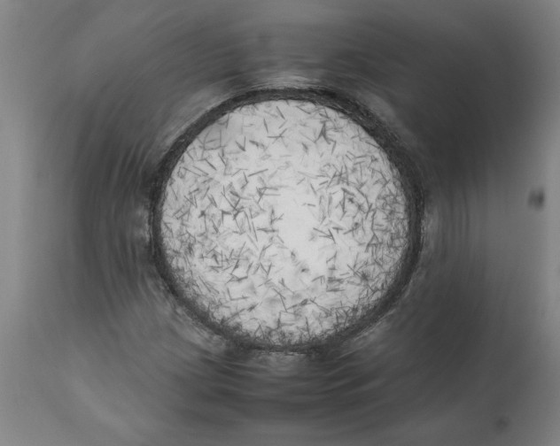 X0000111151209200907211155