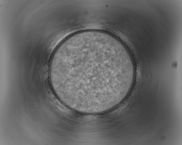 X0000111151212200907211155