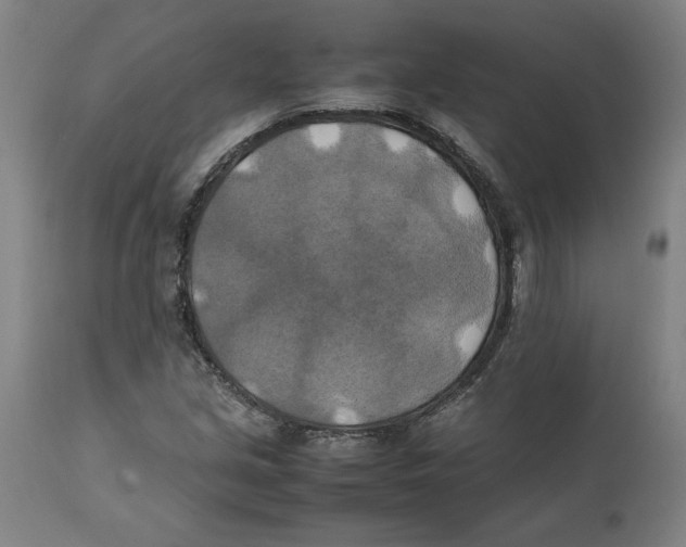 X0000111151213200907211155