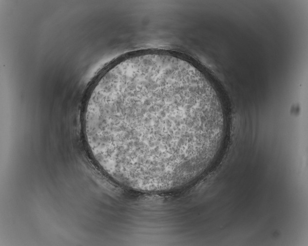 X0000111151214200907211155