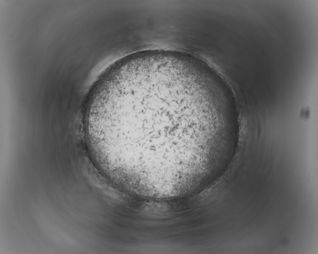 X0000111151215200907211155