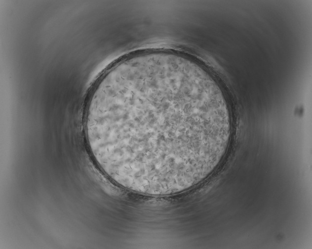 X0000111151216200907211155
