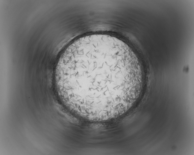 X0000111151217200907211155