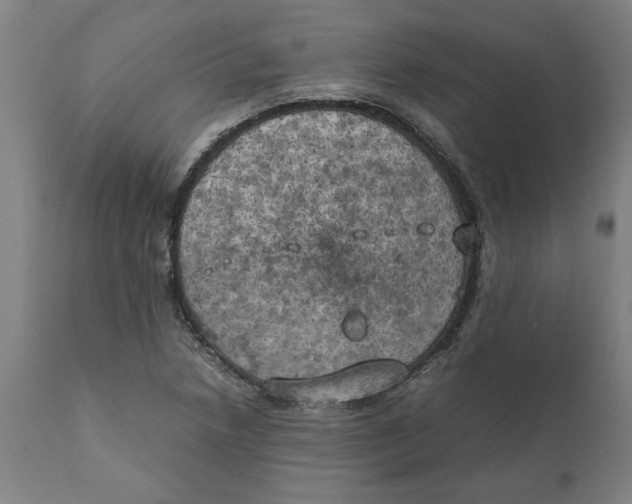 X0000111151218200907211155