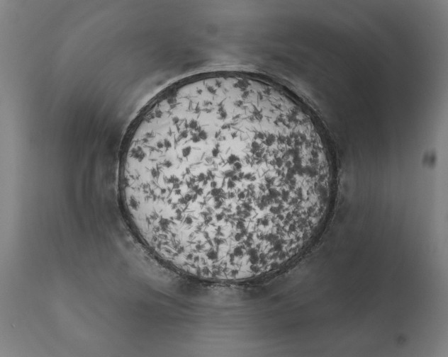X0000111151220200907211155