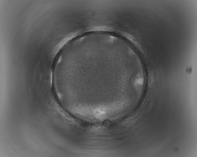 X0000111151221200907211155