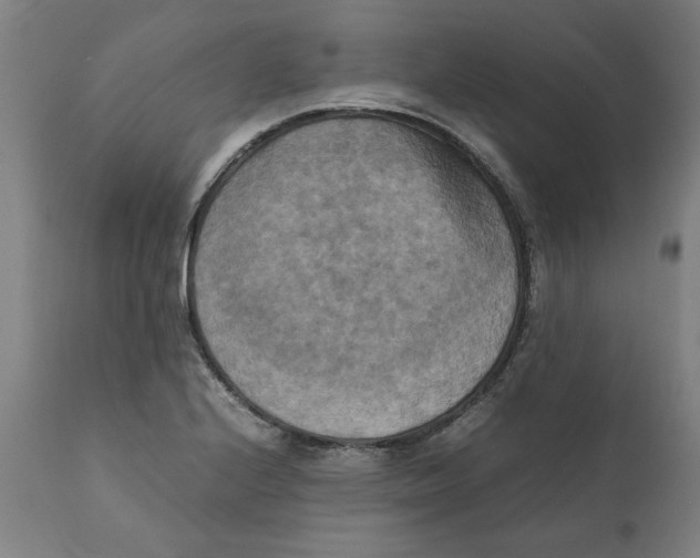 X0000111151224200907211155