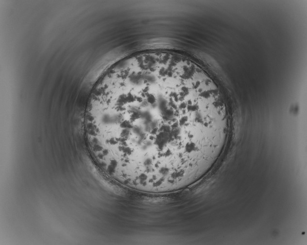 X0000111151225200907211155