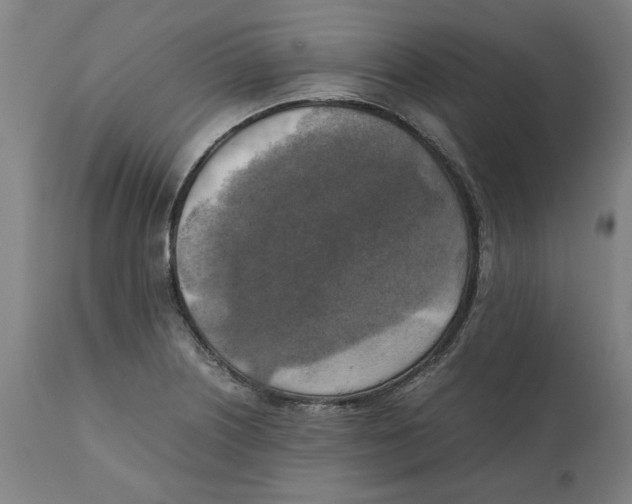 X0000111151226200907211155