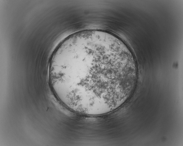 X0000111151227200907211155
