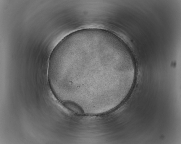 X0000111151228200907211155